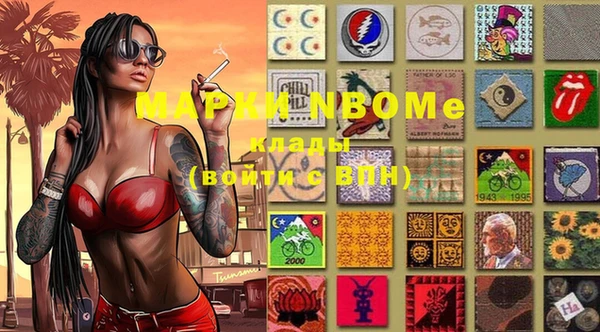ALPHA PVP Ельня