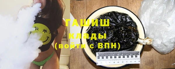 стафф Гатчина