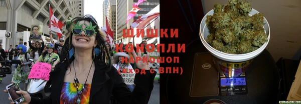 гидропоника Дмитров