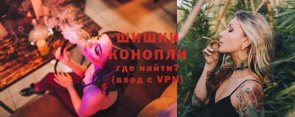 тгк Елизово
