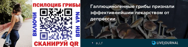 kraken зеркало  Ишим  Псилоцибиновые грибы Magic Shrooms 